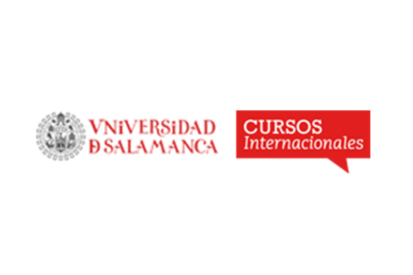 Usal Cursos Internacionales